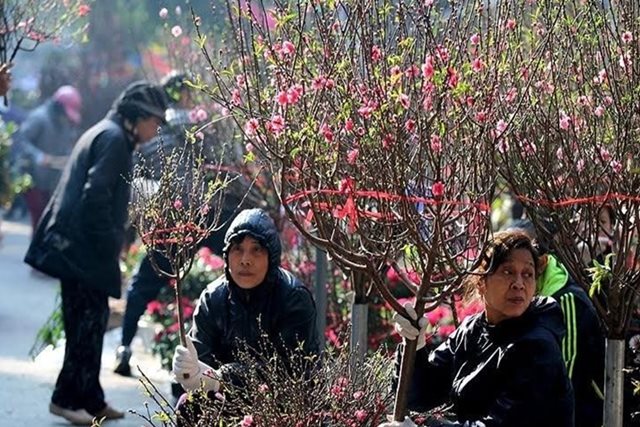 Miền Bắc có thể mưa phùn cả Tết Nguyên đán 2026